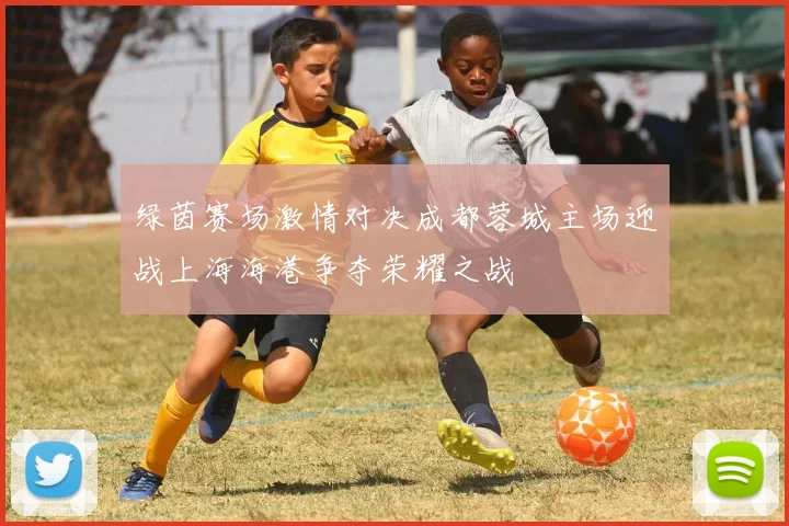 绿茵赛场激情对决成都蓉城主场迎战上海海港争夺荣耀之战