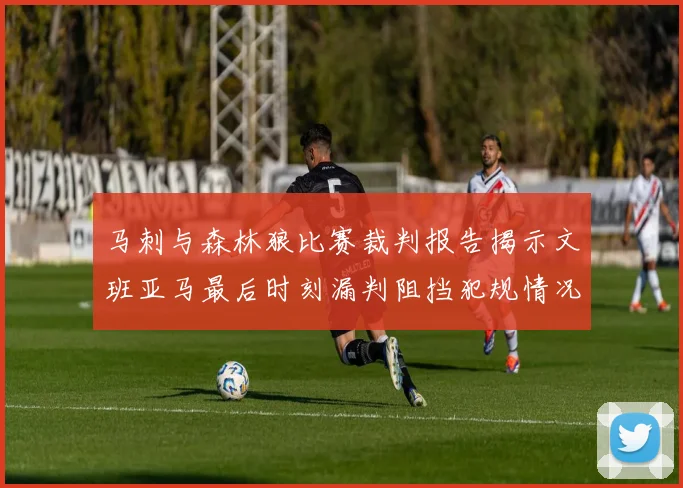 马刺与森林狼比赛裁判报告揭示文班亚马最后时刻漏判阻挡犯规情况