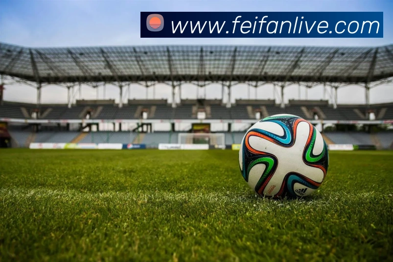 阿媒报道帕尔梅拉斯欲以2000万欧元收购阿尔马达50股份